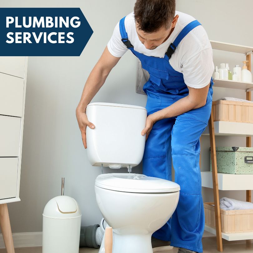 Plumbing Company in Bonita, LA